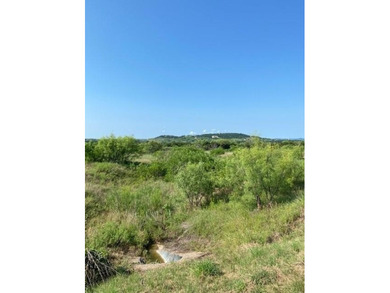 Level lot with trees and room to build. Lot ownership includes - photo 4