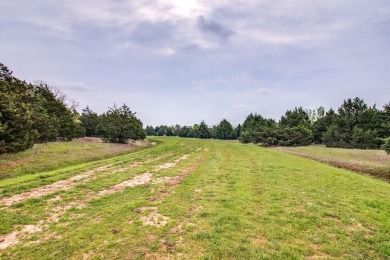 This is an amazing property in Grayson County for investment and - photo 7