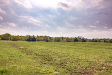 This is an amazing property in Grayson County for investment and - photo 9