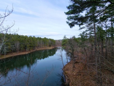Framed by large mature white pine trees sits this beautiful - photo 11