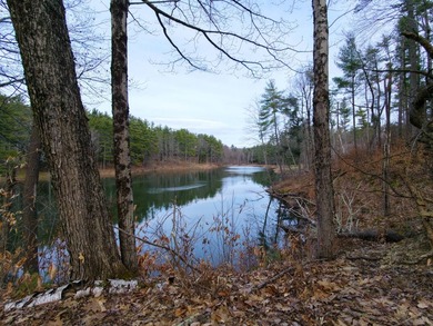 Framed by large mature white pine trees sits this beautiful - photo 12