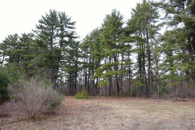 Framed by large mature white pine trees sits this beautiful - photo 13