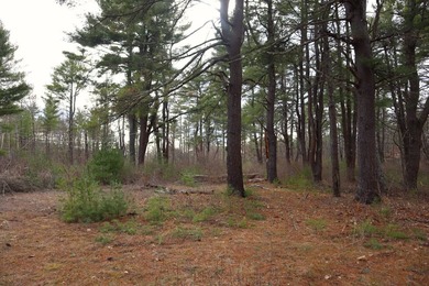 Framed by large mature white pine trees sits this beautiful - photo 14