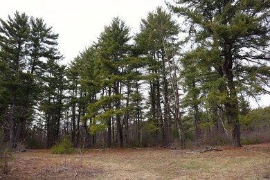 Framed by large mature white pine trees sits this beautiful - photo 16