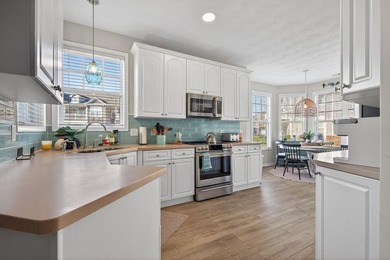 Discover exceptional value in this recently upgraded FURNISHED - photo 7