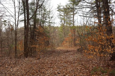 Framed by large mature white pine trees sits this beautiful - photo 18