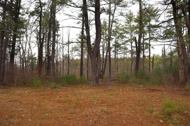 Framed by large mature white pine trees sits this beautiful - photo 19