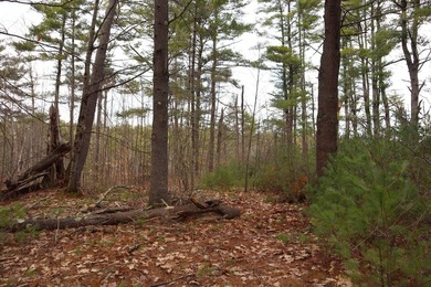 Framed by large mature white pine trees sits this beautiful - photo 20