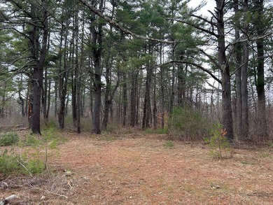 Framed by large mature white pine trees sits this beautiful - photo 21