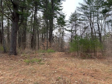 Framed by large mature white pine trees sits this beautiful - photo 22