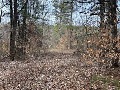 Framed by large mature white pine trees sits this beautiful - photo 24