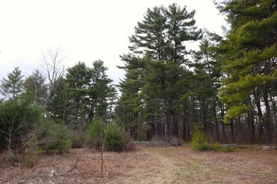 Framed by large mature white pine trees sits this beautiful - photo 25