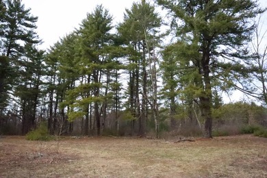 Framed by large mature white pine trees sits this beautiful - photo 26
