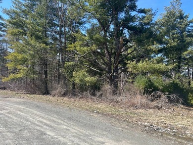 Framed by large mature white pine trees sits this beautiful - photo 27