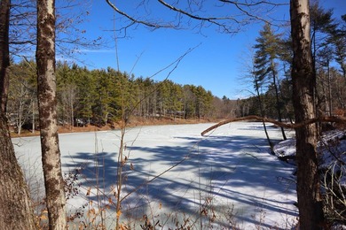Framed by large mature white pine trees sits this beautiful - photo 28