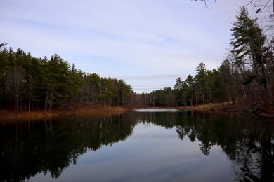 Framed by large mature white pine trees sits this beautiful - photo 30