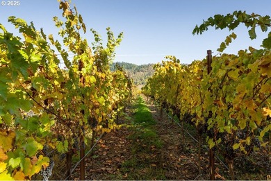 Welcome to Lookingglass Vineyard, a remarkable 142.94-acre - photo 36
