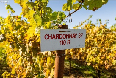 Welcome to Lookingglass Vineyard, a remarkable 142.94-acre - photo 37