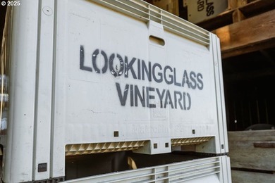 Welcome to Lookingglass Vineyard, a remarkable 142.94-acre - photo 40