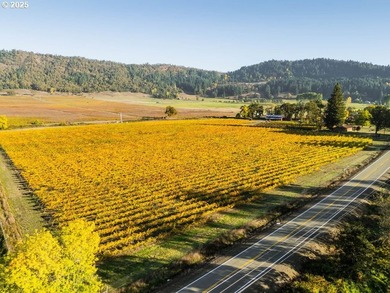 Welcome to Lookingglass Vineyard, a remarkable 142.94-acre - photo 41