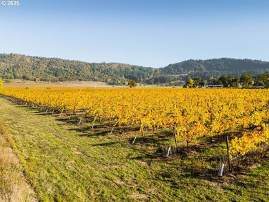 Welcome to Lookingglass Vineyard, a remarkable 142.94-acre - photo 42