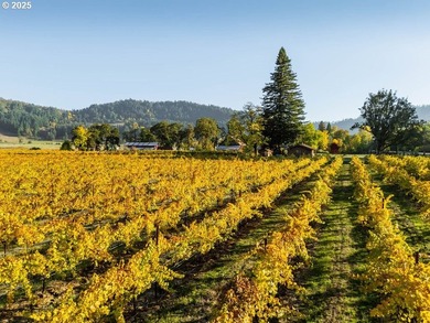 Welcome to Lookingglass Vineyard, a remarkable 142.94-acre - photo 43