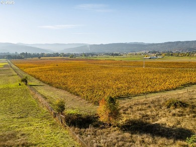 Welcome to Lookingglass Vineyard, a remarkable 142.94-acre - photo 45