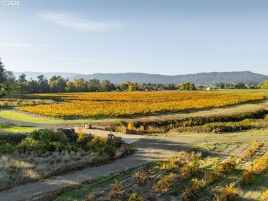 Welcome to Lookingglass Vineyard, a remarkable 142.94-acre - photo 46