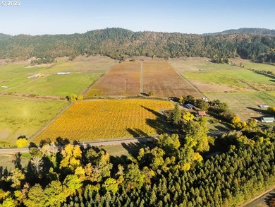 Welcome to Lookingglass Vineyard, a remarkable 142.94-acre - photo 47