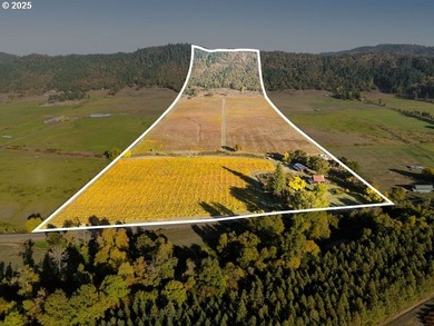Welcome to Lookingglass Vineyard, a remarkable 142.94-acre - photo 48