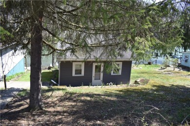 Stony Lake Home For Sale in Carrollton Ohio