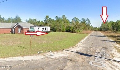 Discover the perfect opportunity to build your dream home on - photo 3