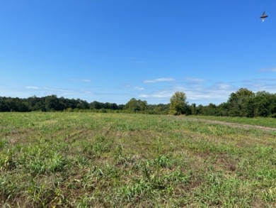 Great location and price on this vacant 4 acres! Call Dottie!  - Lake Lot For Sale in Falls Of Rough, Kentucky