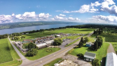 Seneca Lake Commercial For Sale in Dundee New York