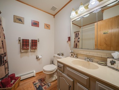 Located in the heart of the Adirondack Mountains, this charming - photo 44