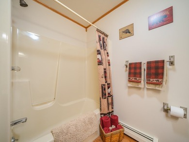 Located in the heart of the Adirondack Mountains, this charming - photo 46