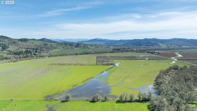 This renowned farmland was home to the famous Henry Estate - photo 12