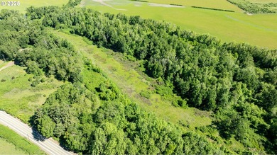 This renowned farmland was home to the famous Henry Estate - photo 14