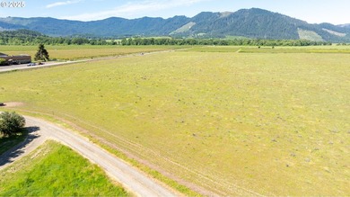 This renowned farmland was home to the famous Henry Estate - photo 16