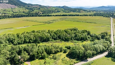 This renowned farmland was home to the famous Henry Estate - photo 17