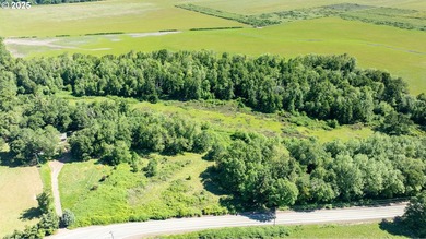 This renowned farmland was home to the famous Henry Estate - photo 20