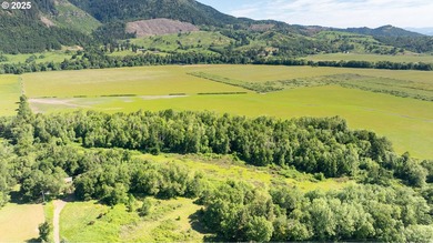 This renowned farmland was home to the famous Henry Estate - photo 21