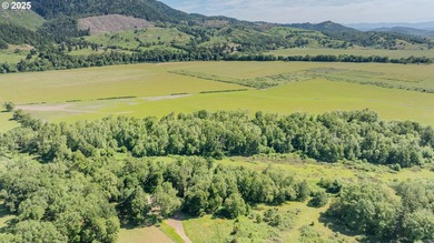 This renowned farmland was home to the famous Henry Estate - photo 22