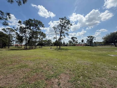 This well-cared for home is located on the 9th hole on the West - photo 33