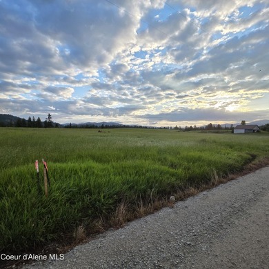 Build your dream rural escape with ultimate freedom on Harrison - photo 2
