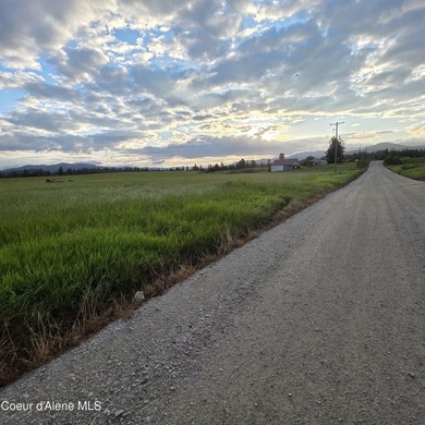 Build your dream rural escape with ultimate freedom on Harrison - photo 3