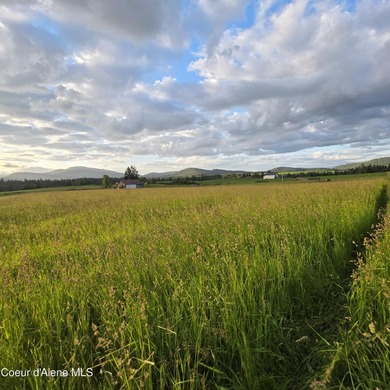 Build your dream rural escape with ultimate freedom on Harrison - photo 4