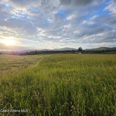 Build your dream rural escape with ultimate freedom on Harrison - photo 5