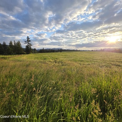 Build your dream rural escape with ultimate freedom on Harrison - photo 8
