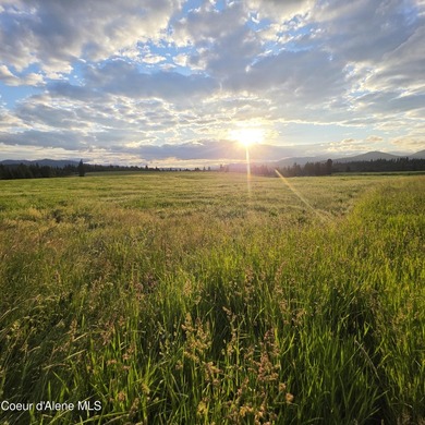 Build your dream rural escape with ultimate freedom on Harrison - photo 9